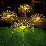 Firework | Geef uw tuin een betoverende uitstraling!