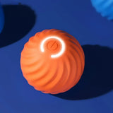 Automatisch Interactief Hondenspeelgoed - RolliPlay