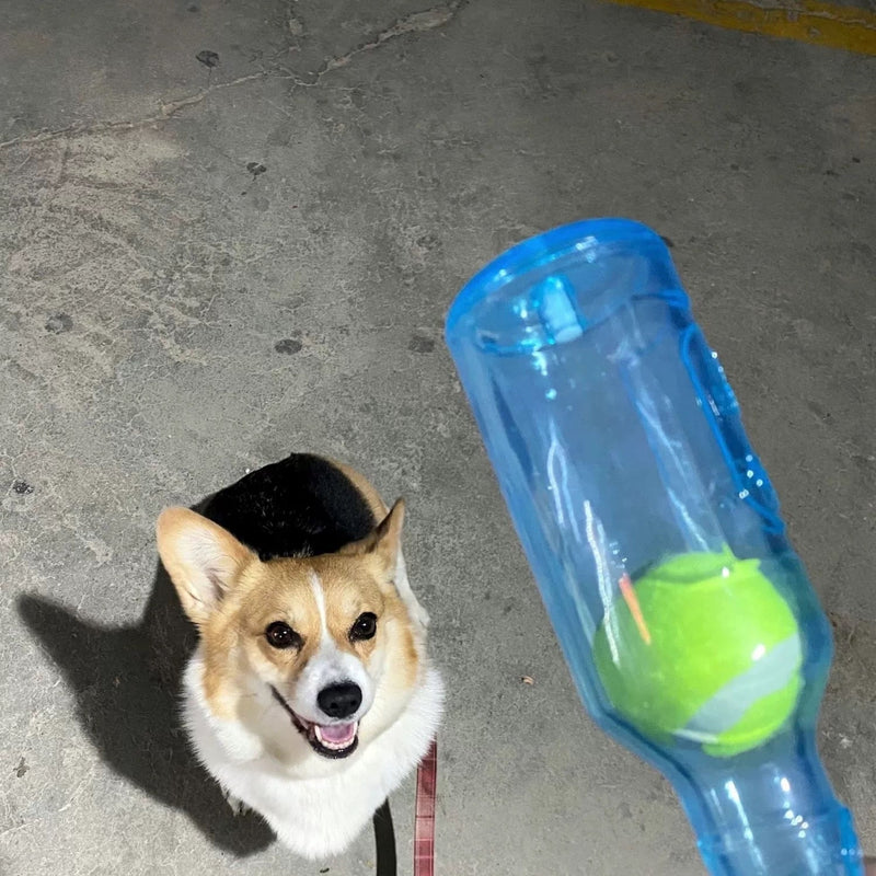 KauwFles voor Honden – Voor plezierige kauwmomenten