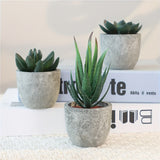 Decoratieve Mini Kunstplantenset in Betonlook – Stijlvolle Groene Touch voor Elk Interieur