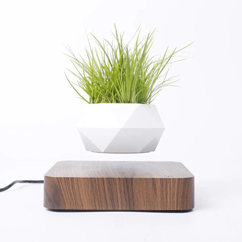 AirZen | Ervaar het wonder van zwaartekracht tartende planten!