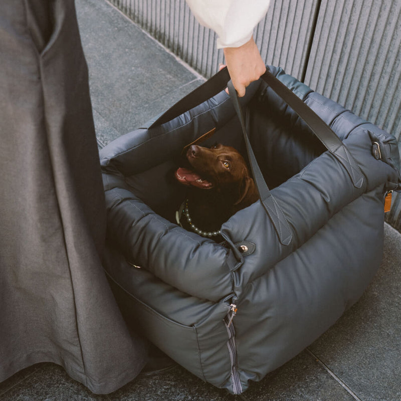 Comfortabele autostoel voor honden - PawLuxury