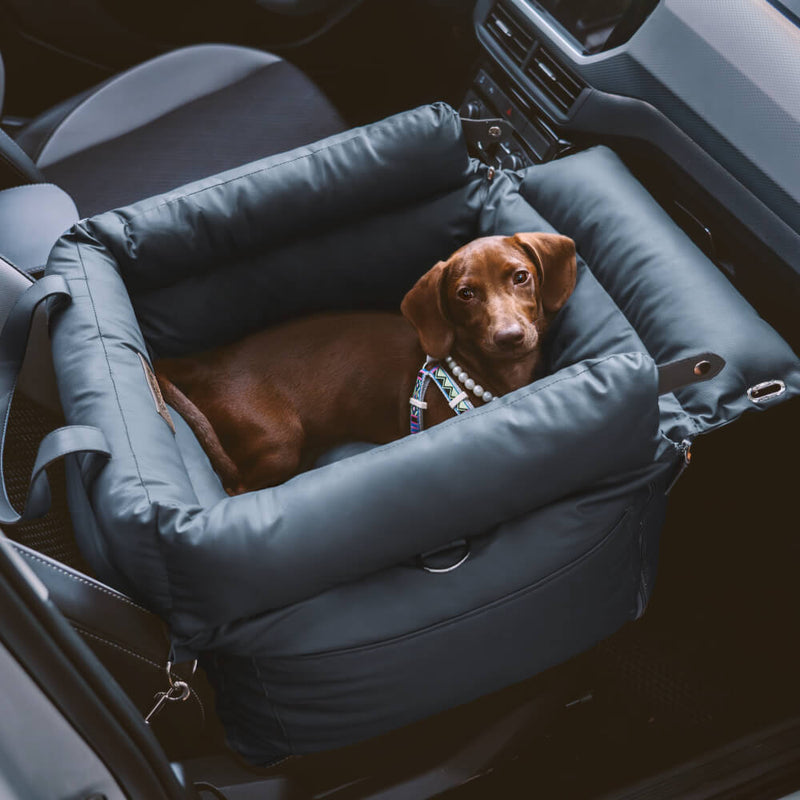 Comfortabele autostoel voor honden - PawLuxury