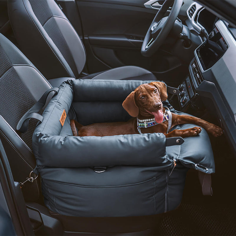Comfortabele autostoel voor honden - PawLuxury