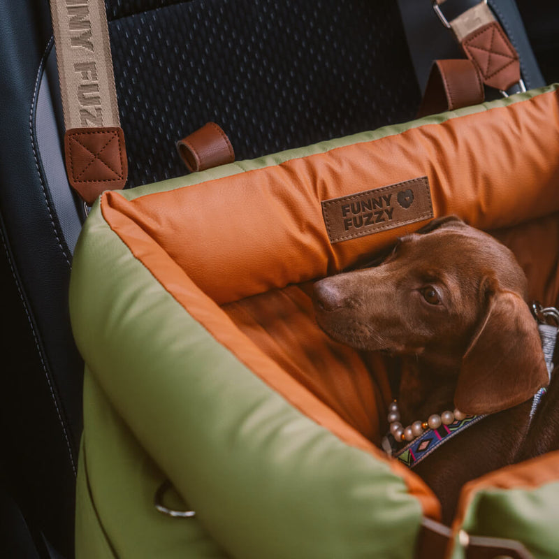 Comfortabele autostoel voor honden - PawLuxury