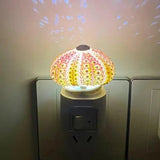 DIY Zee-egel Nachtlamp - LumiUrchin