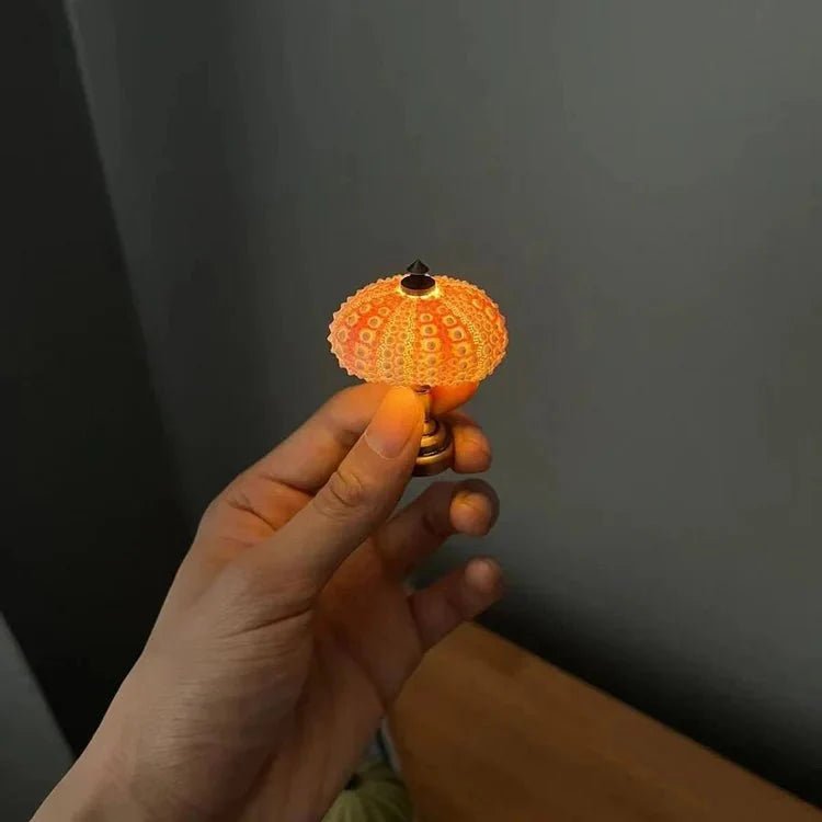 DIY Zee-egel Nachtlamp - LumiUrchin