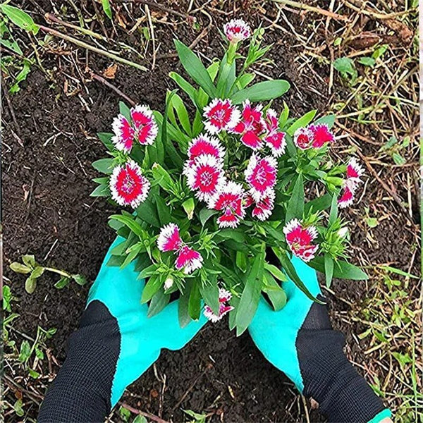 DigMaster Gloves | Handschoenen waarmee tuinieren een makkie wordt!