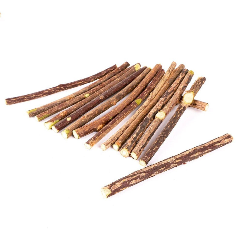 Catnip Sticks | Kauwbare lekkernijen voor gelukkige katten!