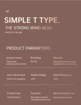 Professionele Föhn 2400W met koude en warme lucht - negatieve ionen - krachtige haardroger voor salonresultaten