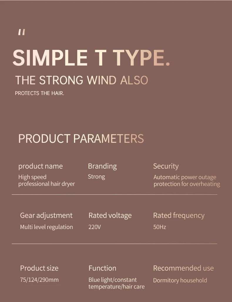 Professionele Föhn 2400W met koude en warme lucht - negatieve ionen - krachtige haardroger voor salonresultaten