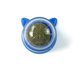 Catnip Roll | Geef je katten een traktatie!