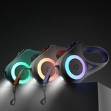 Gloeiende Hondenriem met Zaklamp – GlowGuard
