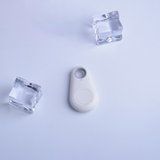 Huisdier GPS-Tag - PawFinder