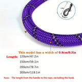 Versterkte Reflecterende Hondenriem met Gevoerde Handgreep – Duurzaam en Veilig voor Krachtige Honden