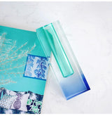 Kaleidoscoop Vazen - Kleurrijke Bloemenvazen voor een Frisse Omgeving