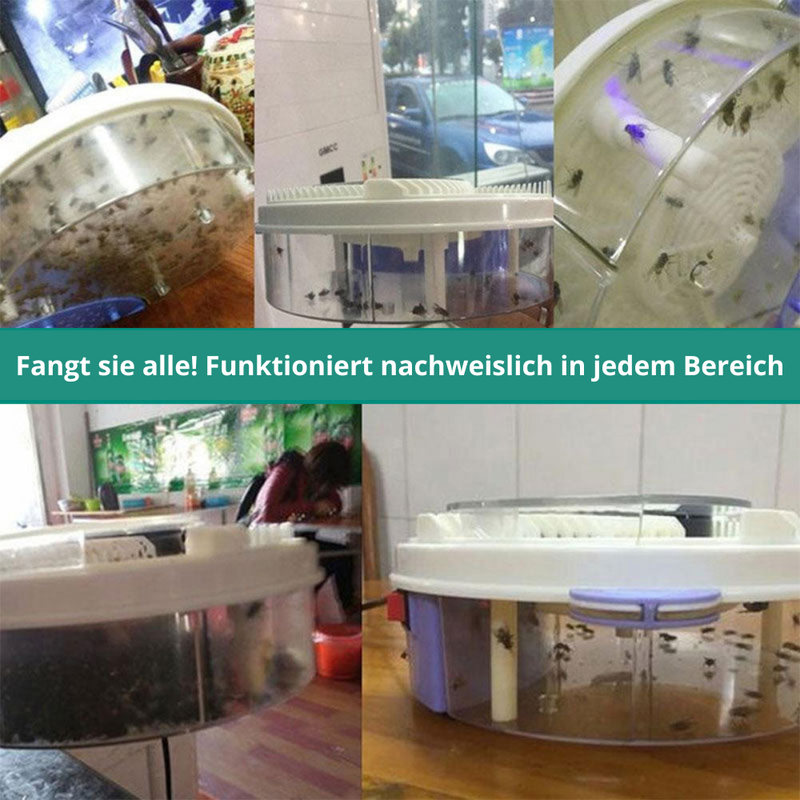 FliegenFrei - De Wereldbeste Vliegenval (Stille Vliegenval)