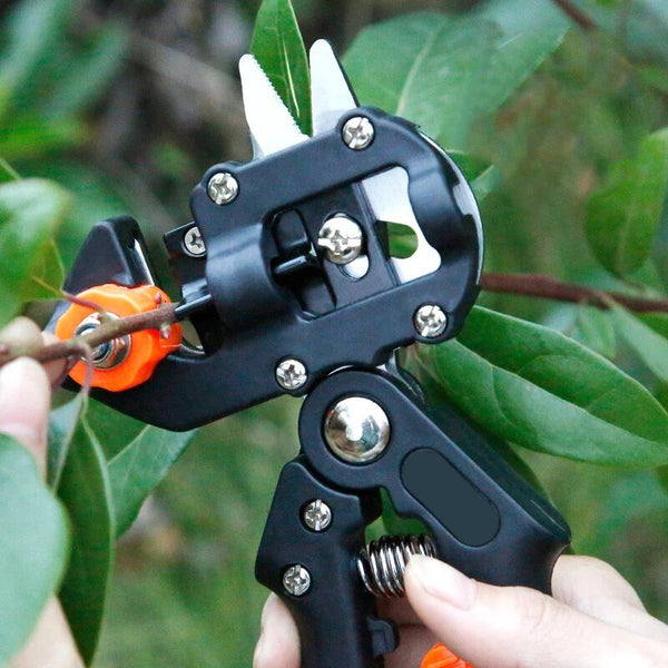 Graft Craft | Enten met precisie voor een bloeiende tuin!
