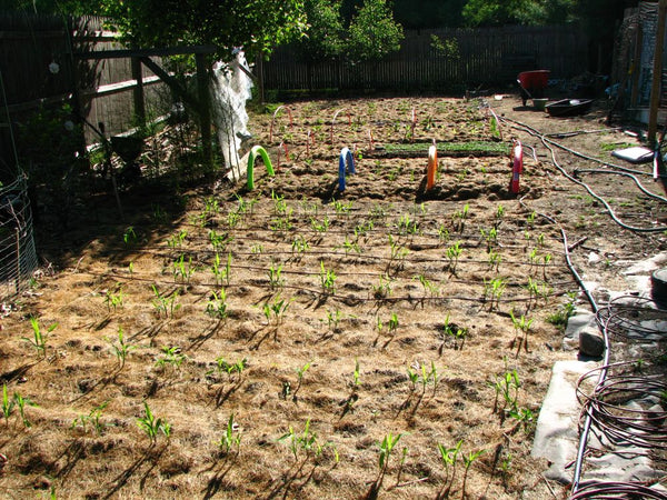 Verfrissend Bewateringssysteem - AquaCool