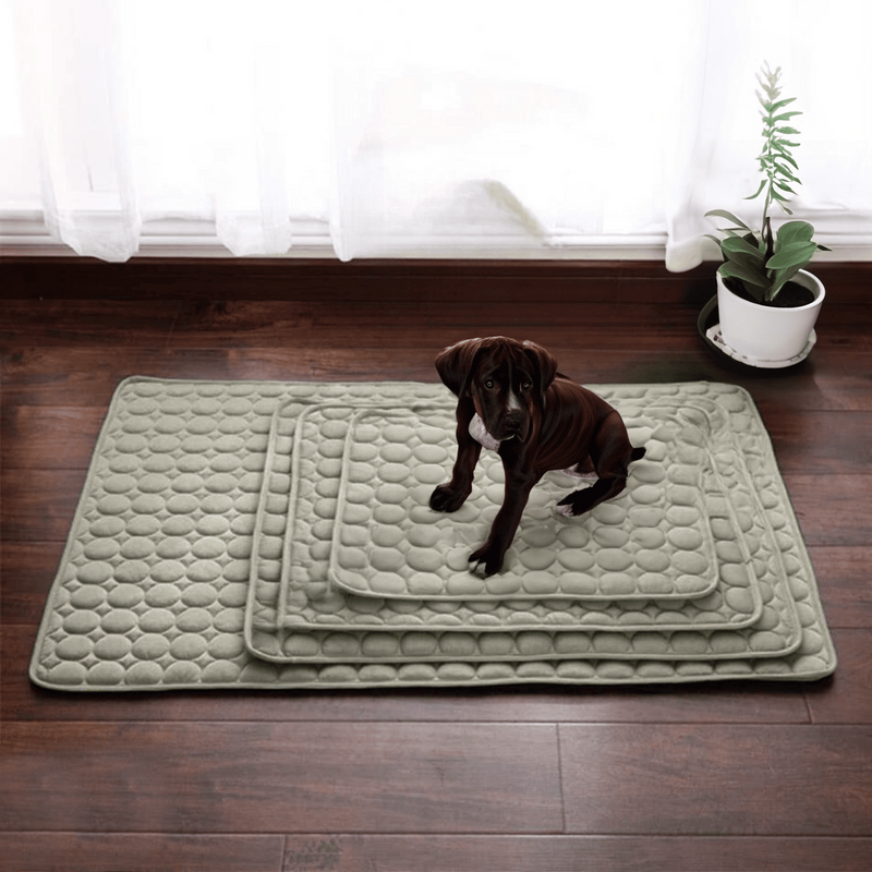 Innovatieve Koelmat voor Honden (4x Koelkracht) - ChillComfort