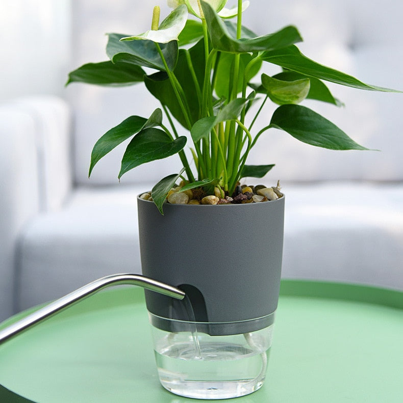 Zelfbewaterende Plantenpot – AquaBloom