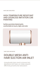 Professionele Föhn 2400W met koude en warme lucht - negatieve ionen - krachtige haardroger voor salonresultaten