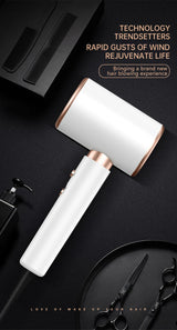 Professionele Föhn 2400W met koude en warme lucht - negatieve ionen - krachtige haardroger voor salonresultaten