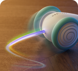 Het Ultieme Kauwspeelgoed voor Katten – WhiskerPlay