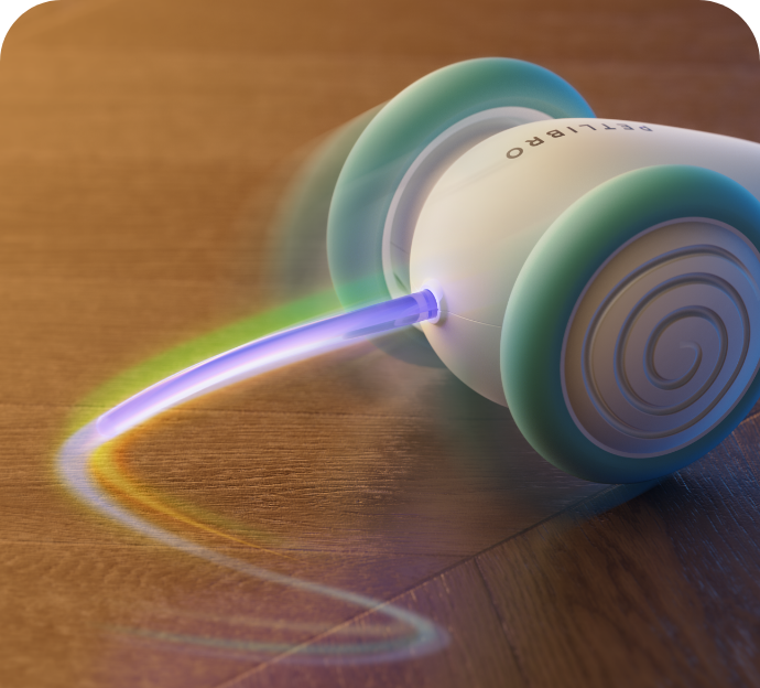 Het Ultieme Kauwspeelgoed voor Katten – WhiskerPlay