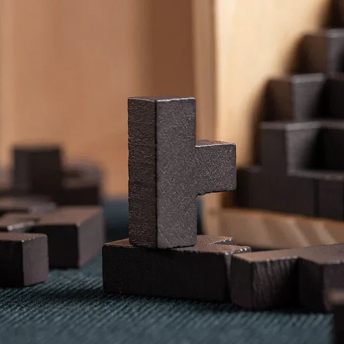 3D Houten Geduldspel - PuzzleMaster