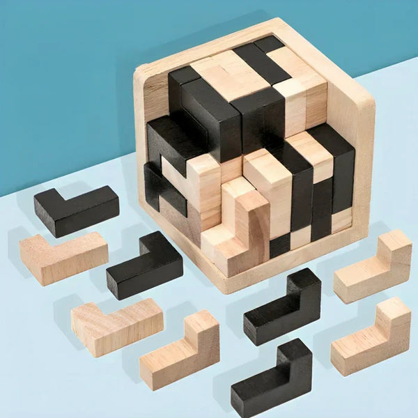3D Houten Geduldspel - PuzzleMaster