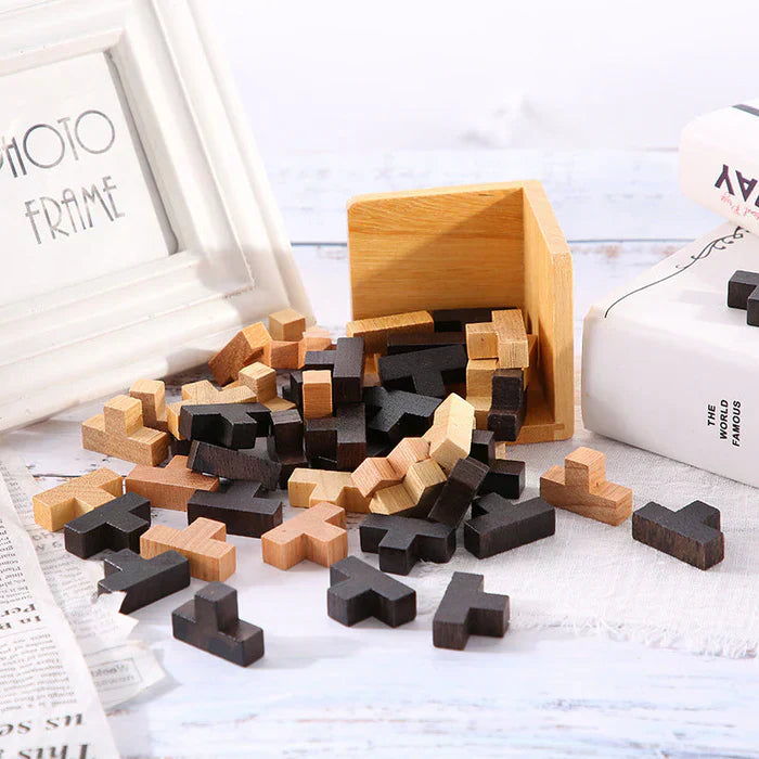 3D Houten Geduldspel - PuzzleMaster