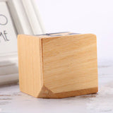 3D Houten Geduldspel - PuzzleMaster