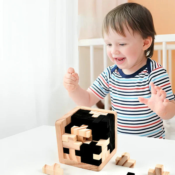 3D Houten Geduldspel - PuzzleMaster