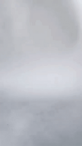 Houten Berenfamilie Decor | Personaliseerbaar & Uniek