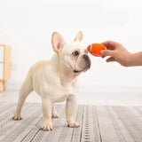 De Onverwoestbare Speelmaat voor Honden – KryptoChew