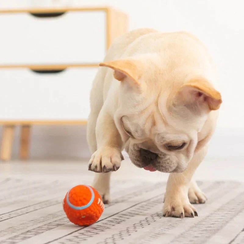 De Onverwoestbare Speelmaat voor Honden – KryptoChew