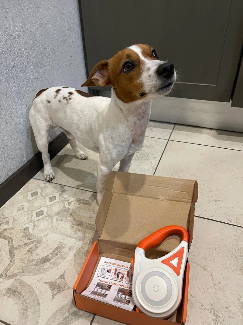 Gloeiende Hondenriem met Zaklamp – GlowGuard