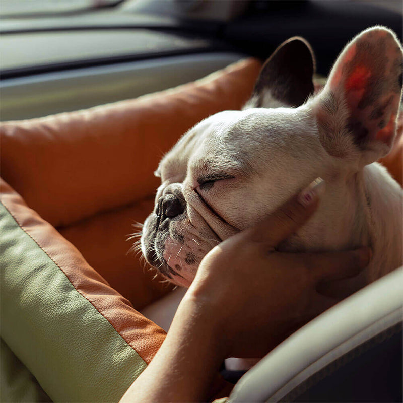 Comfortabele autostoel voor honden - PawLuxury