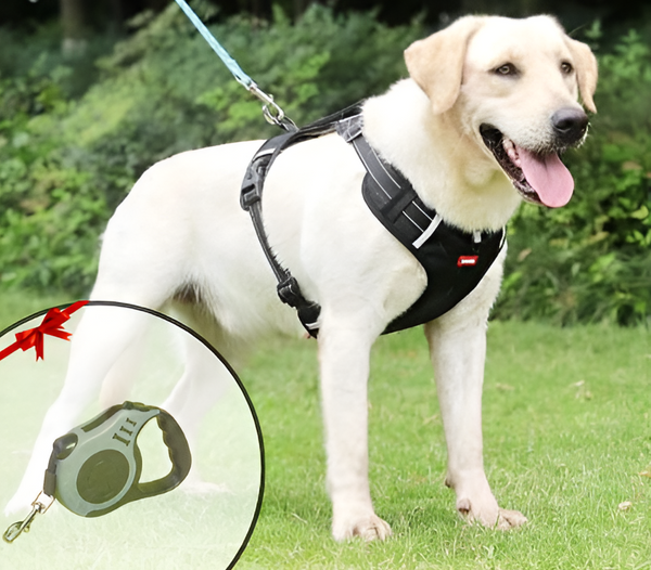 Anti-Trekharnas voor Honden - FlexiFit