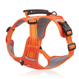 Anti-Trekharnas voor Honden - FlexiFit