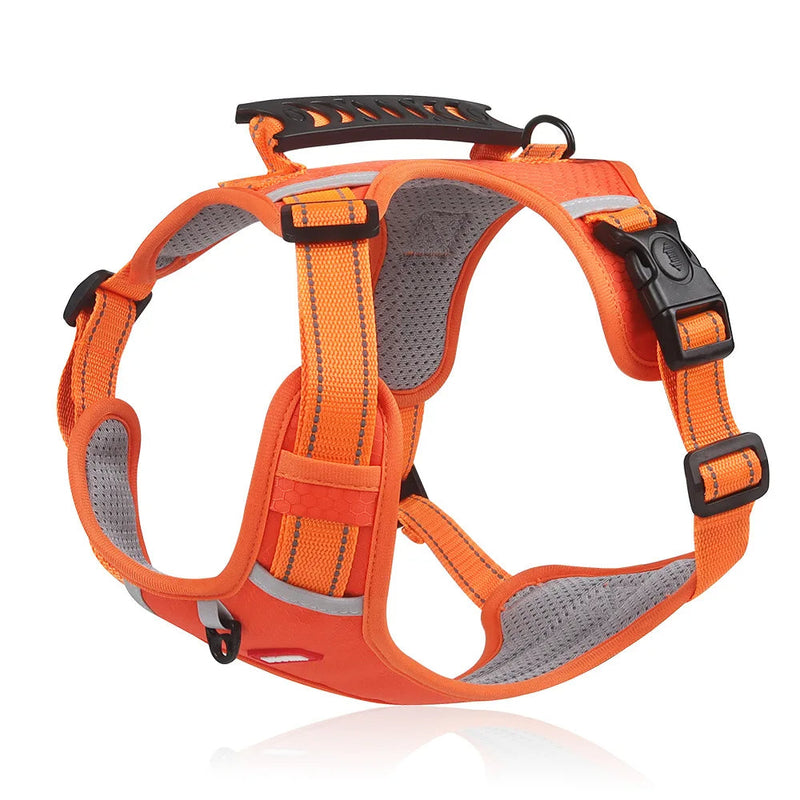 Anti-Trekharnas voor Honden - FlexiFit