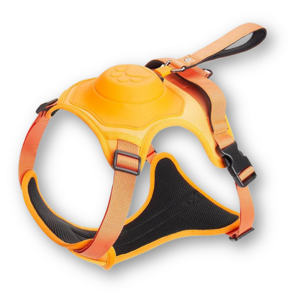 Hondentuig en lijn in één - FlexiLead