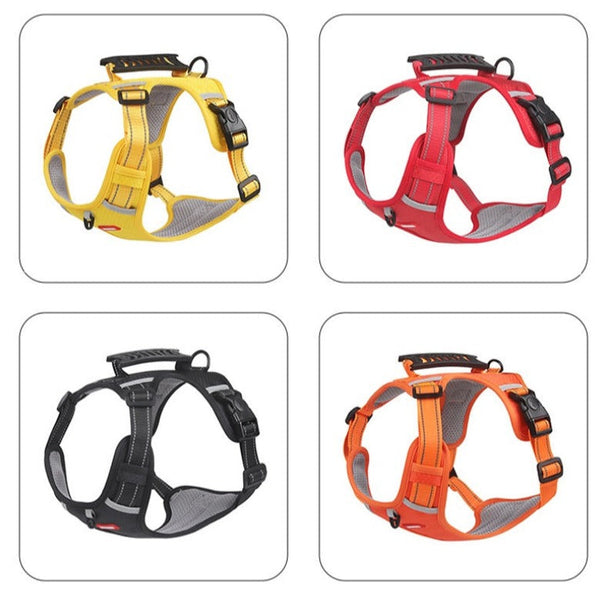 Anti-Trekharnas voor Honden - FlexiFit
