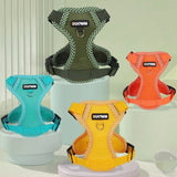 Reflecterend Harnas- en Lijnset voor Kleine Honden - AirFlex