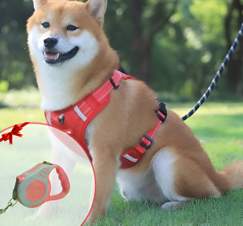 Anti-Trekharnas voor Honden - FlexiFit