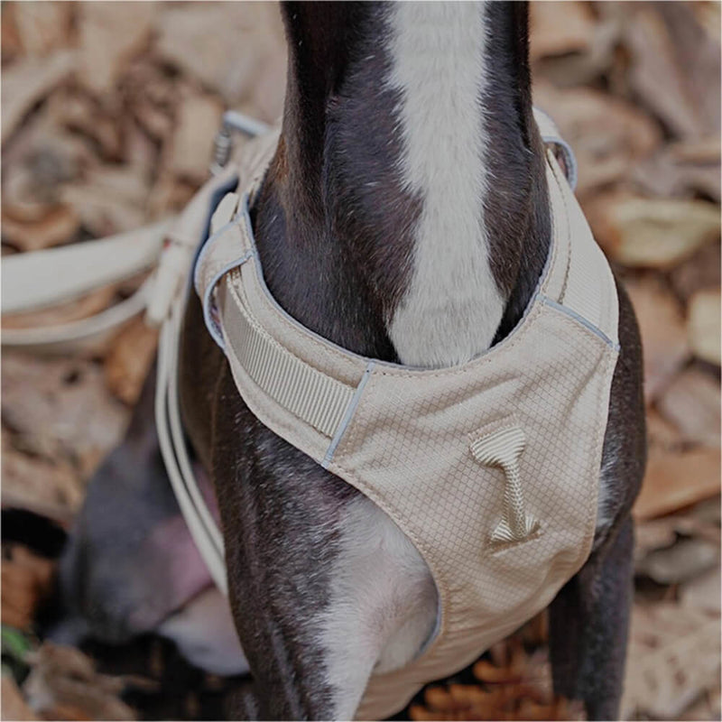 Anti-Trek Hondenharnas met Multifunctionele Leash - AquaCool