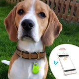 Huisdier GPS-Tag - PawFinder