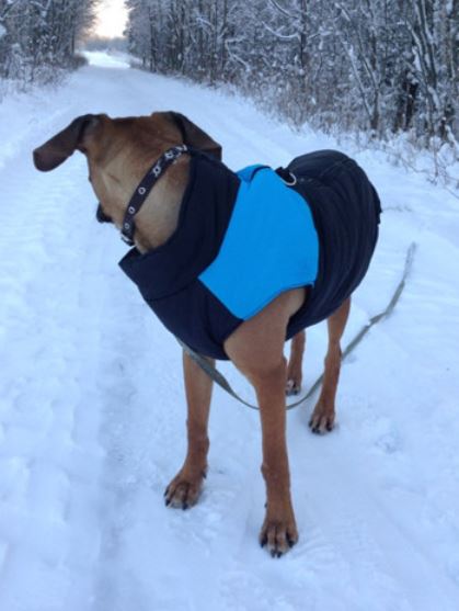 CozyPaws Hondenjas - Warm & Waterdicht