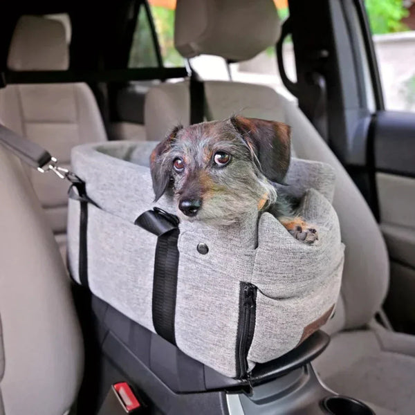 Autozitje voor Huisdieren - PawVoyage